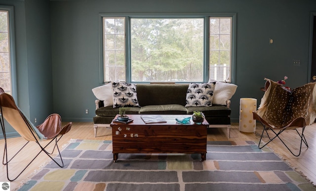 3080 N Lake Leelanau Dr, Lake Leelanau, MI 49653 - living area with wood finished floors, plenty of natural light, and baseboards