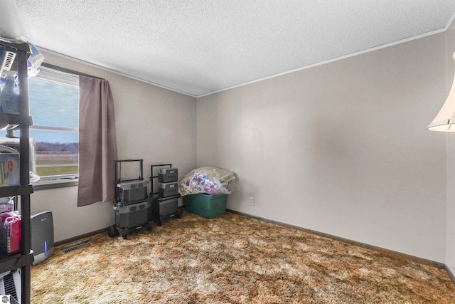 3610 S Call Rd, Lake City, MI 49651 - carpeted spare room with a textured ceiling, crown molding, and baseboards