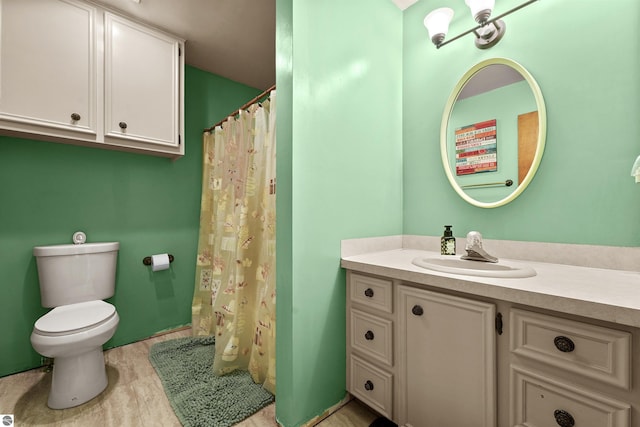 3610 S Call Rd, Lake City, MI 49651 - bathroom with toilet, vanity, and a shower with curtain