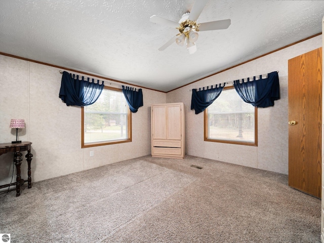 12036 SW Spring Creek Rd, Fife Lake, MI 49633 - unfurnished bedroom with multiple windows, carpet flooring, lofted ceiling, a textured ceiling, and ornamental molding