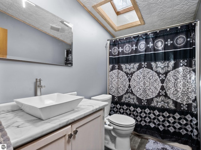 12036 SW Spring Creek Rd, Fife Lake, MI 49633 - full bath featuring a skylight, vaulted ceiling, toilet, vanity, and curtained shower