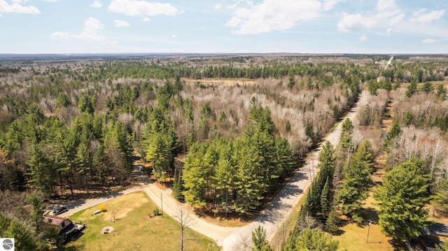 12036 SW Spring Creek Rd, Fife Lake, MI 49633 - aerial view of a forest