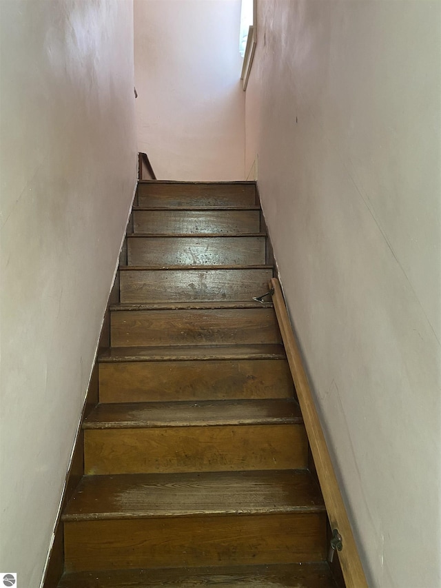 stairway with hardwood / wood-style floors