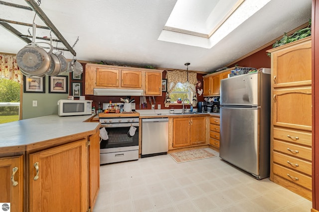 10946 N Rich Rd, Alma, MI 48801 - kitchen with appliances with stainless steel finishes, a skylight, a sink, under cabinet range hood, and light flooring