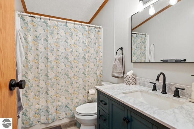 11420 Muskie Way, Ellsworth, MI 49729 - full bathroom featuring toilet, ornamental molding, vanity, and a shower with curtain