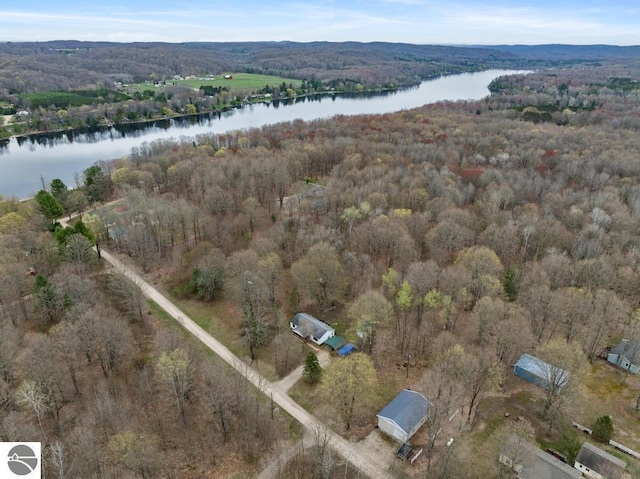 11420 Muskie Way, Ellsworth, MI 49729 - aerial overview of property's location with a nearby body of water and a forest