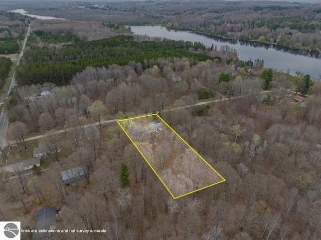 11420 Muskie Way, Ellsworth, MI 49729 - view of property location with a nearby body of water, property parcel outlined, and a forest