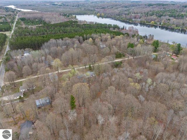 11420 Muskie Way, Ellsworth, MI 49729 - aerial view of property's location with a large body of water and a heavily wooded area