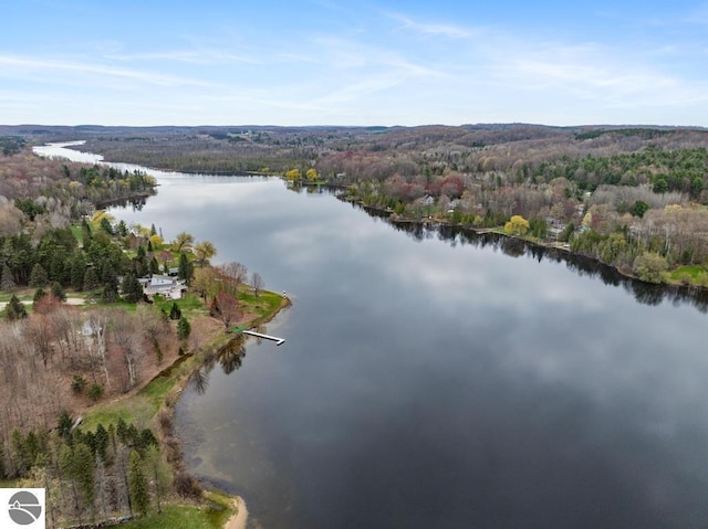 11420 Muskie Way, Ellsworth, MI 49729 - aerial overview of property's location with a forest and a large body of water