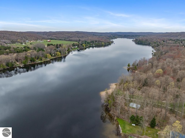 11420 Muskie Way, Ellsworth, MI 49729 - aerial overview of property's location featuring a forest and a nearby body of water