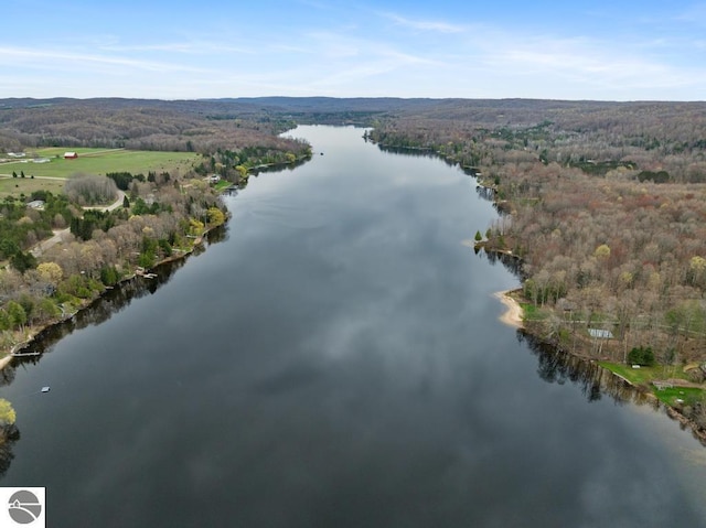 11420 Muskie Way, Ellsworth, MI 49729 - aerial view of a forest and a nearby body of water