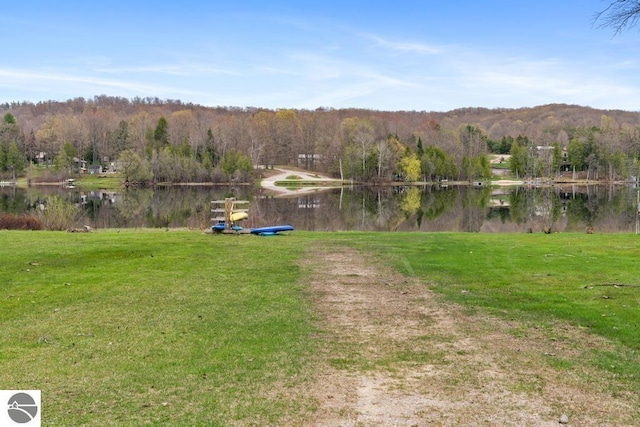 11420 Muskie Way, Ellsworth, MI 49729 - view of grassy yard featuring a water view and a view of trees