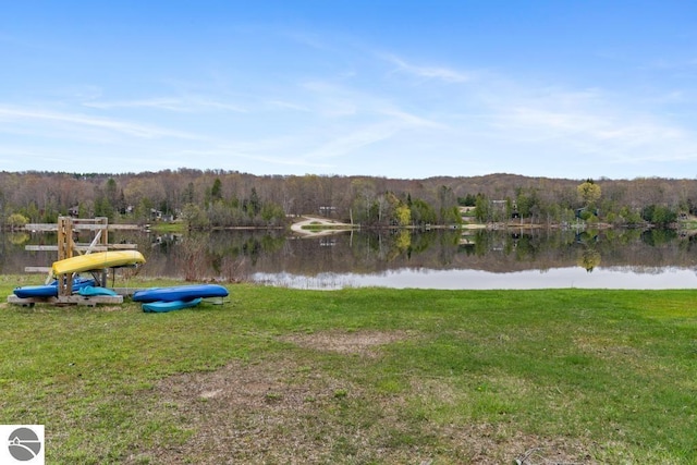 11420 Muskie Way, Ellsworth, MI 49729 - water view featuring a heavily wooded area