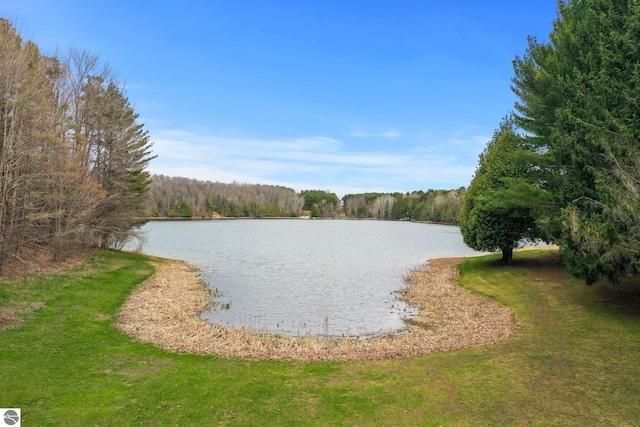 11531 S Tower Rd, Maple City, MI 49664 - water view with a heavily wooded area
