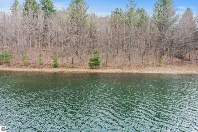 11531 S Tower Rd, Maple City, MI 49664 - water view