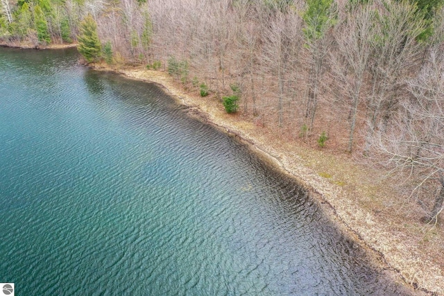 11531 S Tower Rd, Maple City, MI 49664 - bird's eye view of a nearby body of water