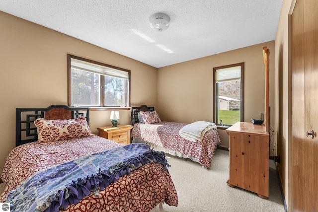 11531 S Tower Rd, Maple City, MI 49664 - bedroom featuring light carpet, multiple windows, and a textured ceiling