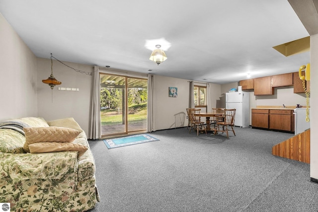 11531 S Tower Rd, Maple City, MI 49664 - living area featuring carpet flooring