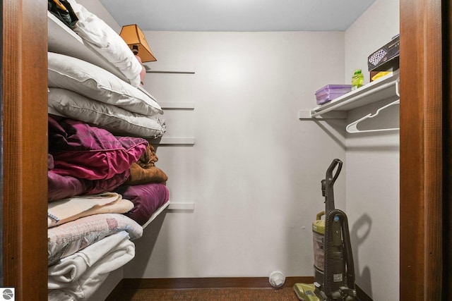 11531 S Tower Rd, Maple City, MI 49664 - view of walk in closet