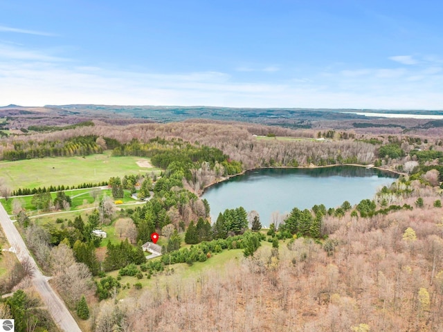 11531 S Tower Rd, Maple City, MI 49664 - aerial view of a large body of water and a forest