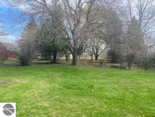 8067 Cherry Ave, Rapid City, MI 49676 - view of green lawn