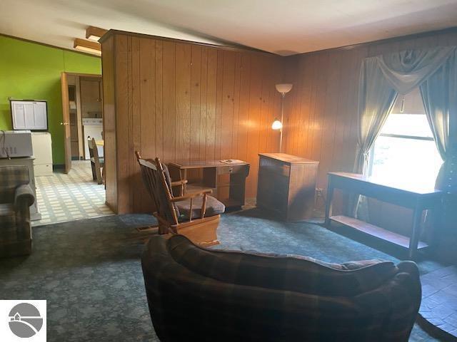 8067 Cherry Ave, Rapid City, MI 49676 - living area featuring a wood stove and wooden walls