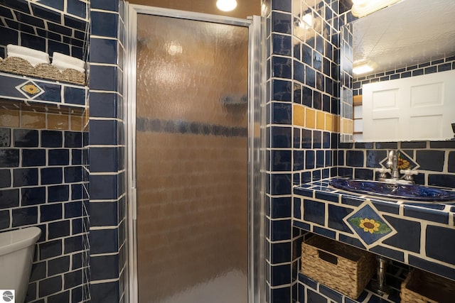 421 S Shabwasung St, Northport, MI 49670 - bathroom with toilet, a stall shower, vanity, and tasteful backsplash