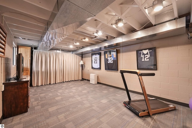 1750 S Schneider St, Lake City, MI 49651 - workout room featuring carpet flooring and concrete block wall