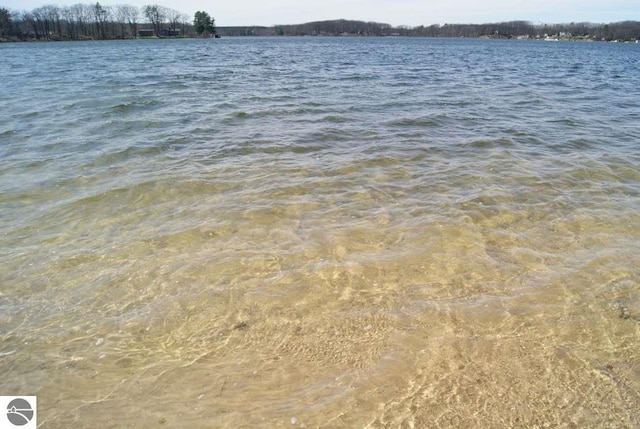 1750 S Schneider St, Lake City, MI 49651 - water view