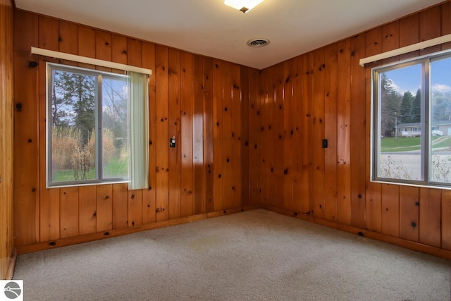 12225 SW Torch Lake Dr SW, Rapid City, MI 49676 - carpeted empty room featuring healthy amount of natural light, wooden walls, and baseboards