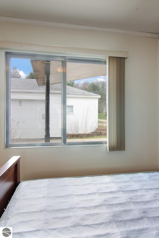 12225 SW Torch Lake Dr SW, Rapid City, MI 49676 - bedroom with crown molding