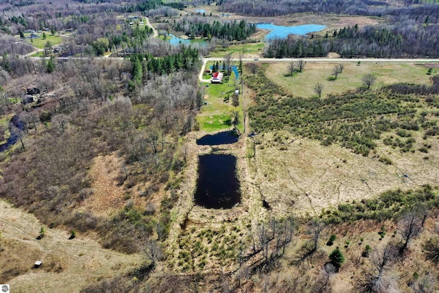 8481 E Houghton Lake Rd, Merritt, MI 49667 - aerial view of property's location with a nearby body of water and rural landscape