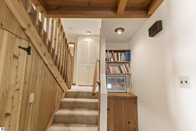 staircase featuring carpet floors