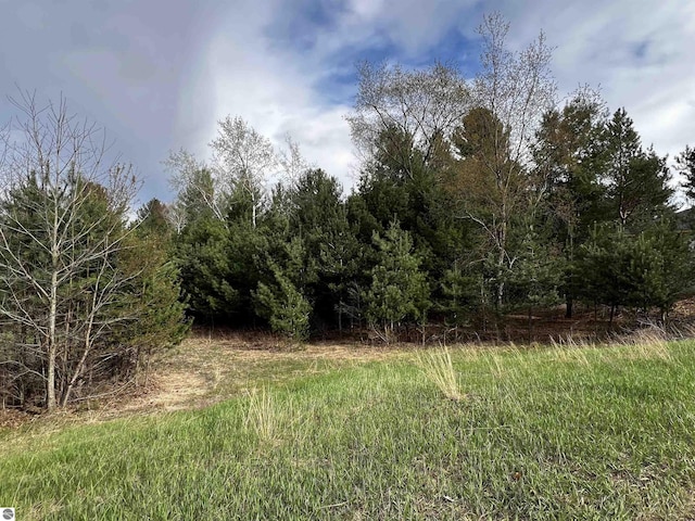 LOT19 Cushman Ct, Williamsburg, MI 49690
