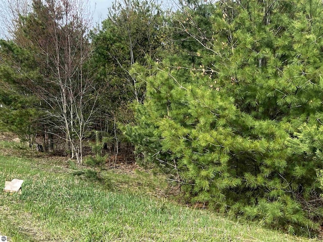 LOT19 Cushman Ct, Williamsburg, MI 49690