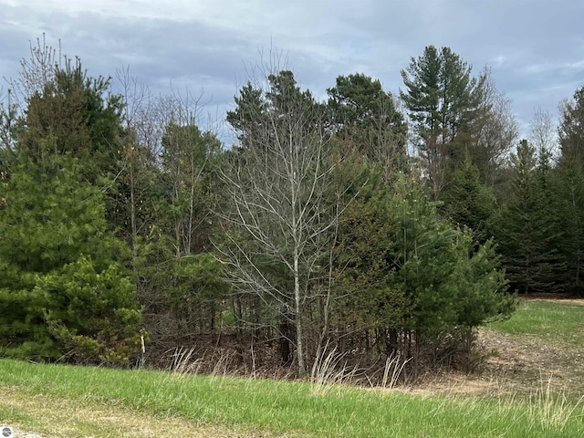 LOT19 Cushman Ct, Williamsburg, MI 49690