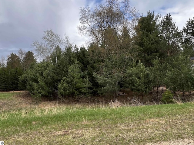 LOT19 Cushman Ct, Williamsburg, MI 49690