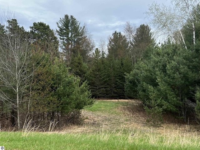 LOT19 Cushman Ct, Williamsburg, MI 49690