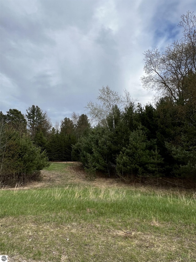 LOT19 Cushman Ct, Williamsburg, MI 49690
