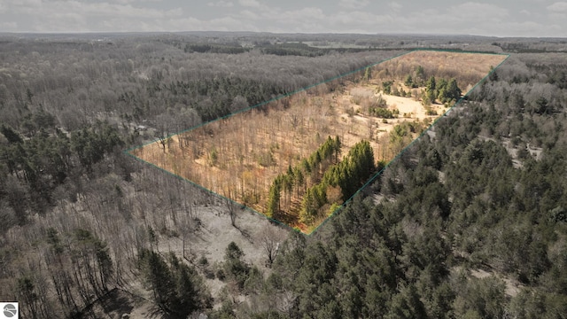 0 Cedar Creek Rd, Fife Lake, MI 49633