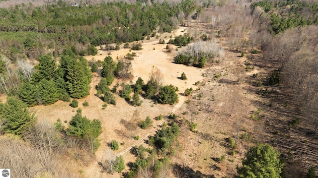 0 Cedar Creek Rd, Fife Lake, MI 49633