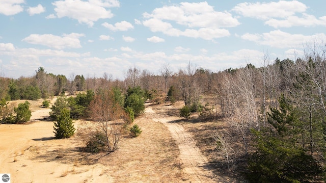 0 Cedar Creek Rd, Fife Lake, MI 49633