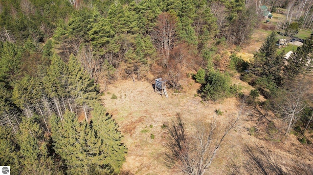 0 Cedar Creek Rd, Fife Lake, MI 49633
