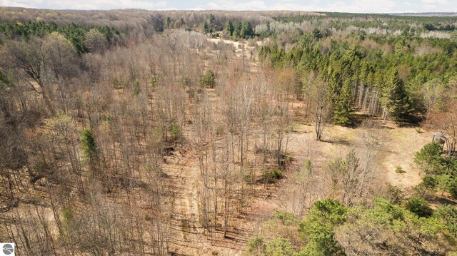 0 Cedar Creek Rd, Fife Lake, MI 49633