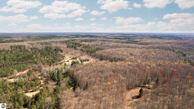 0 Cedar Creek Rd, Fife Lake, MI 49633