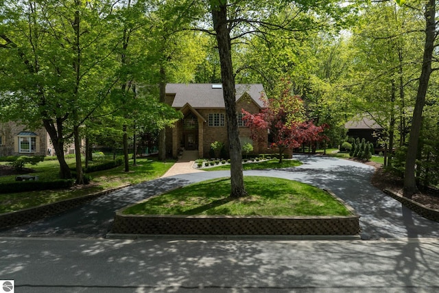 view of front facade featuring curved driveway and a front lawn