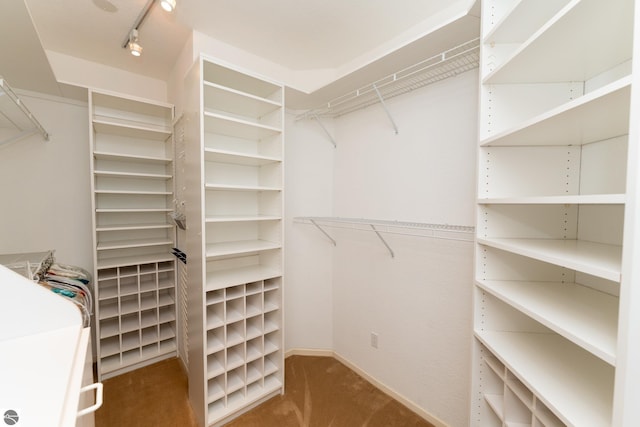 walk in closet with carpet flooring