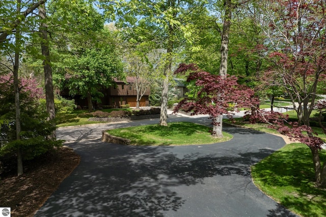 surrounding community featuring curved driveway