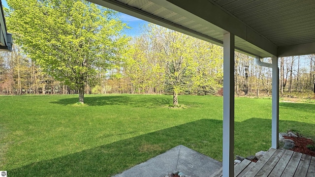 20202 50th Ave, Marion, MI 49665 - view of green lawn