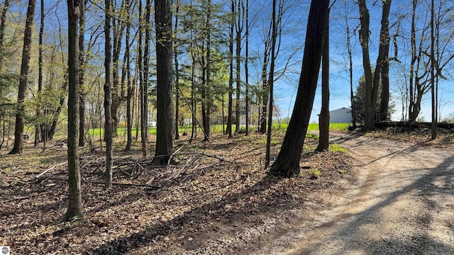 20202 50th Ave, Marion, MI 49665 - view of undeveloped land